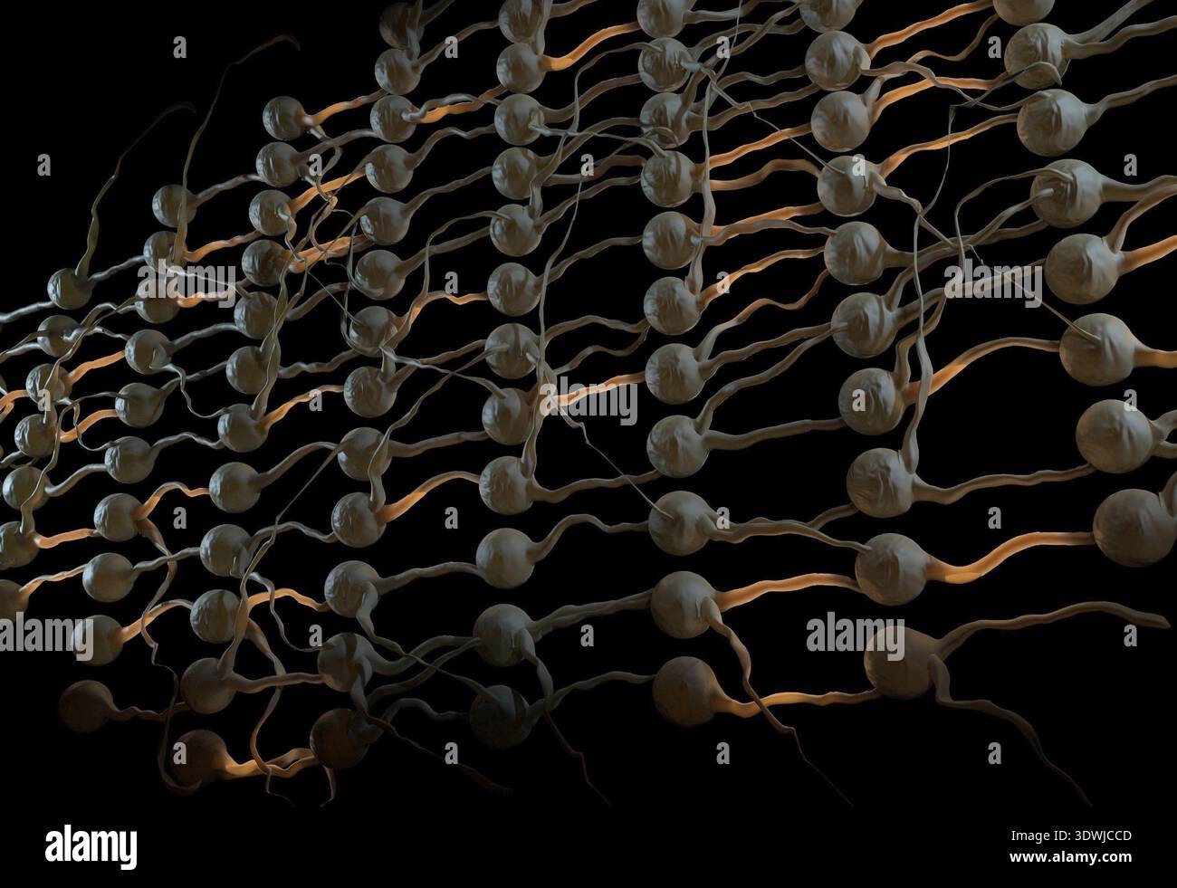 Neural network graphic hi-res stock photography and images - Alamy