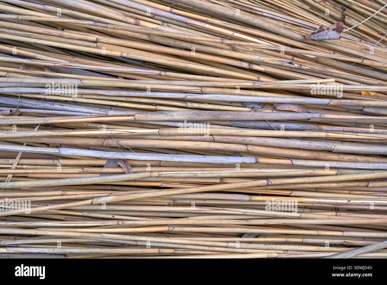Light brown horizontal rustic thatcher background Stock Photo