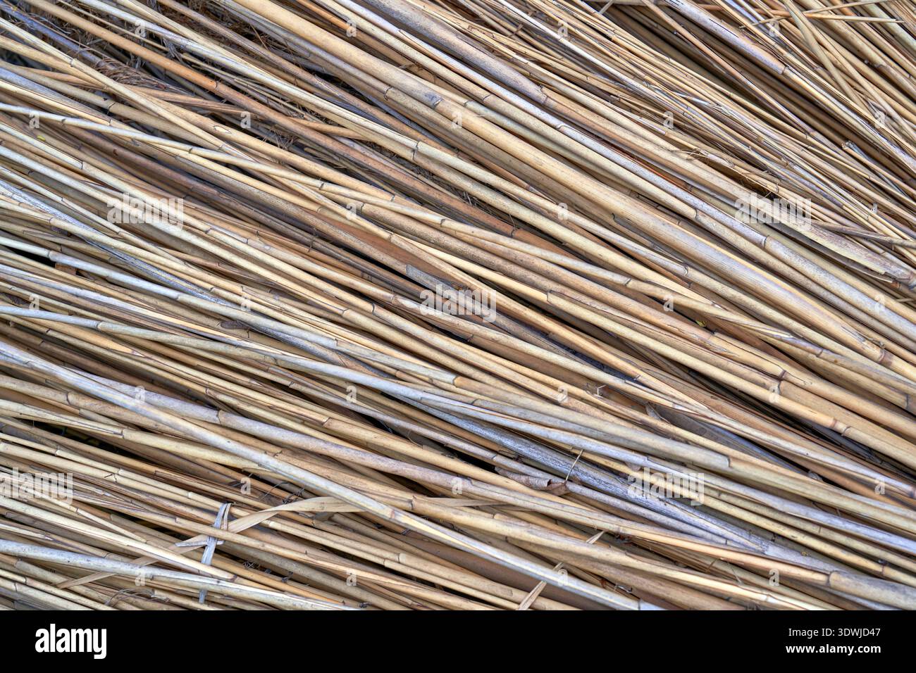 Light brown horizontal rustic thatcher background Stock Photo