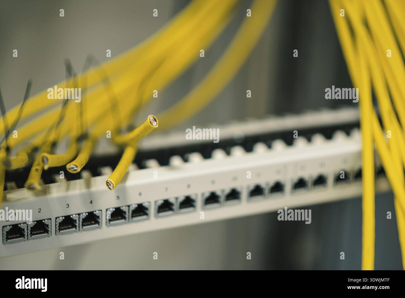 Patch panel with cables, switching, deployment of data network Stock ...