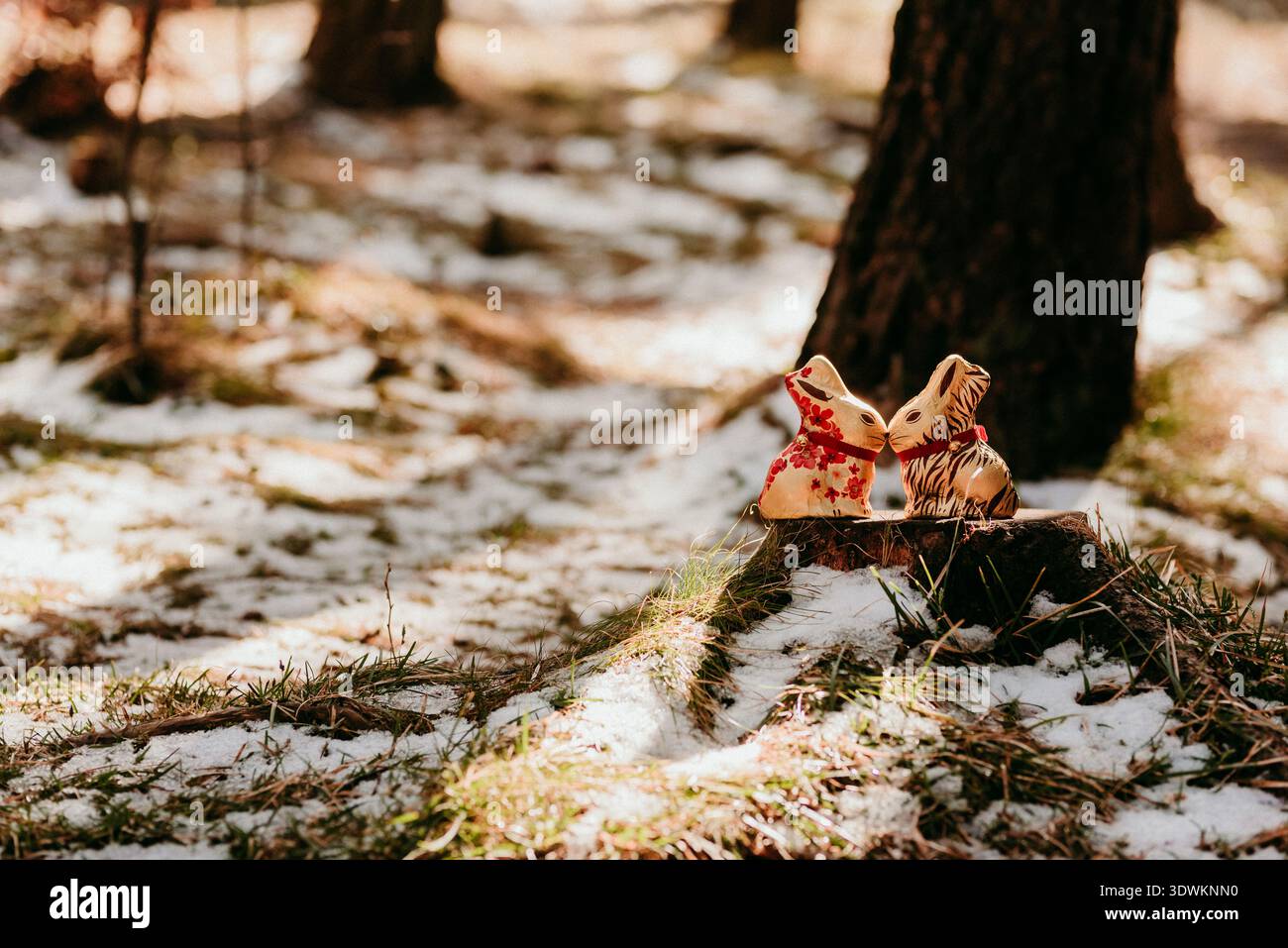 Chocolate Easter bunnies in a spring forest Stock Photo
