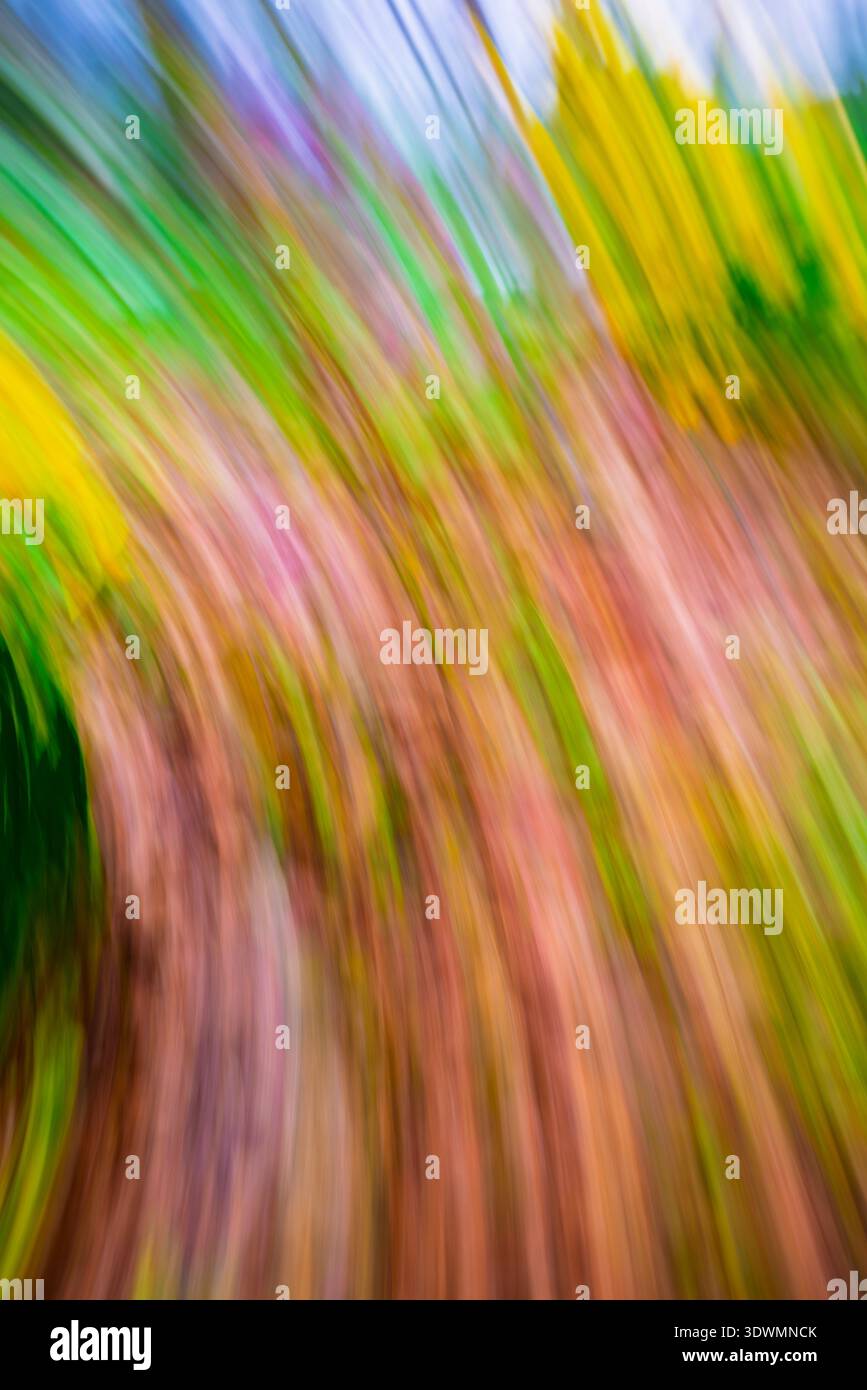 abstract background of spring colours using intentional camera movement Stock Photo