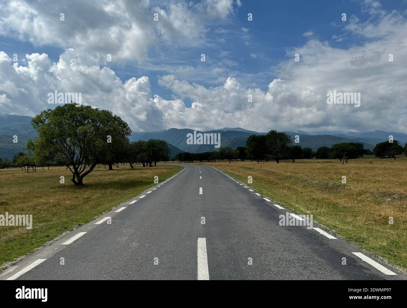 Straight asphalt road stretching through a dry grassy field towards distant hazy mountains under a blue summer sky, with scattered clouds. - Smartphone Captured Stock Image