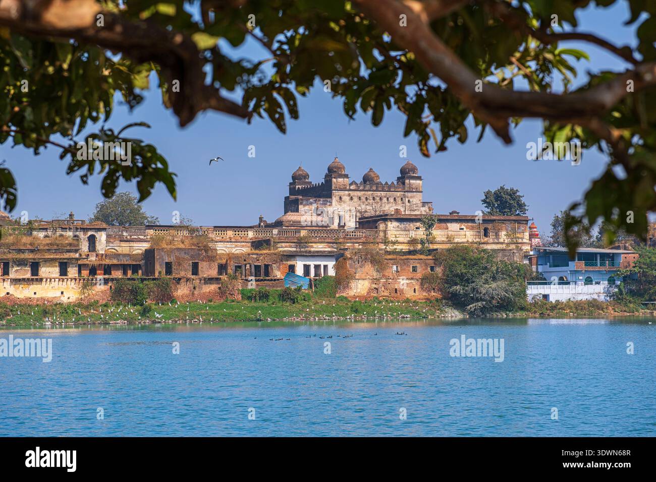 India, Madhya Pradesh state, Bhopal, 19th century Taj Mahal Palace ...