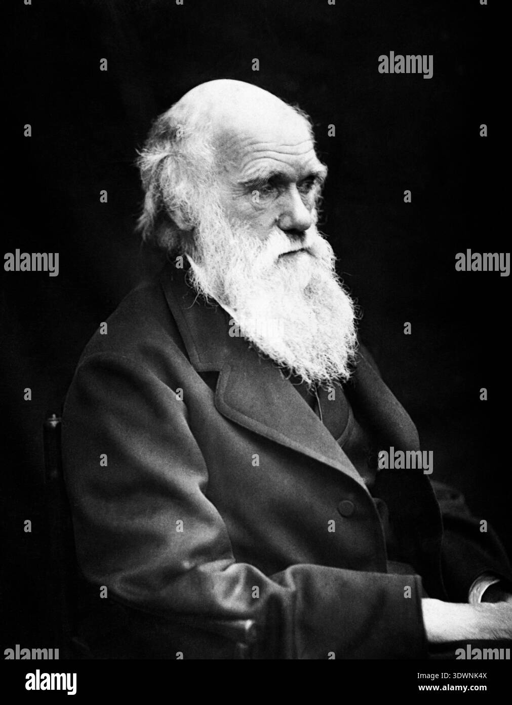 This striking black and white portrait taken in 1869 captures Charles ...