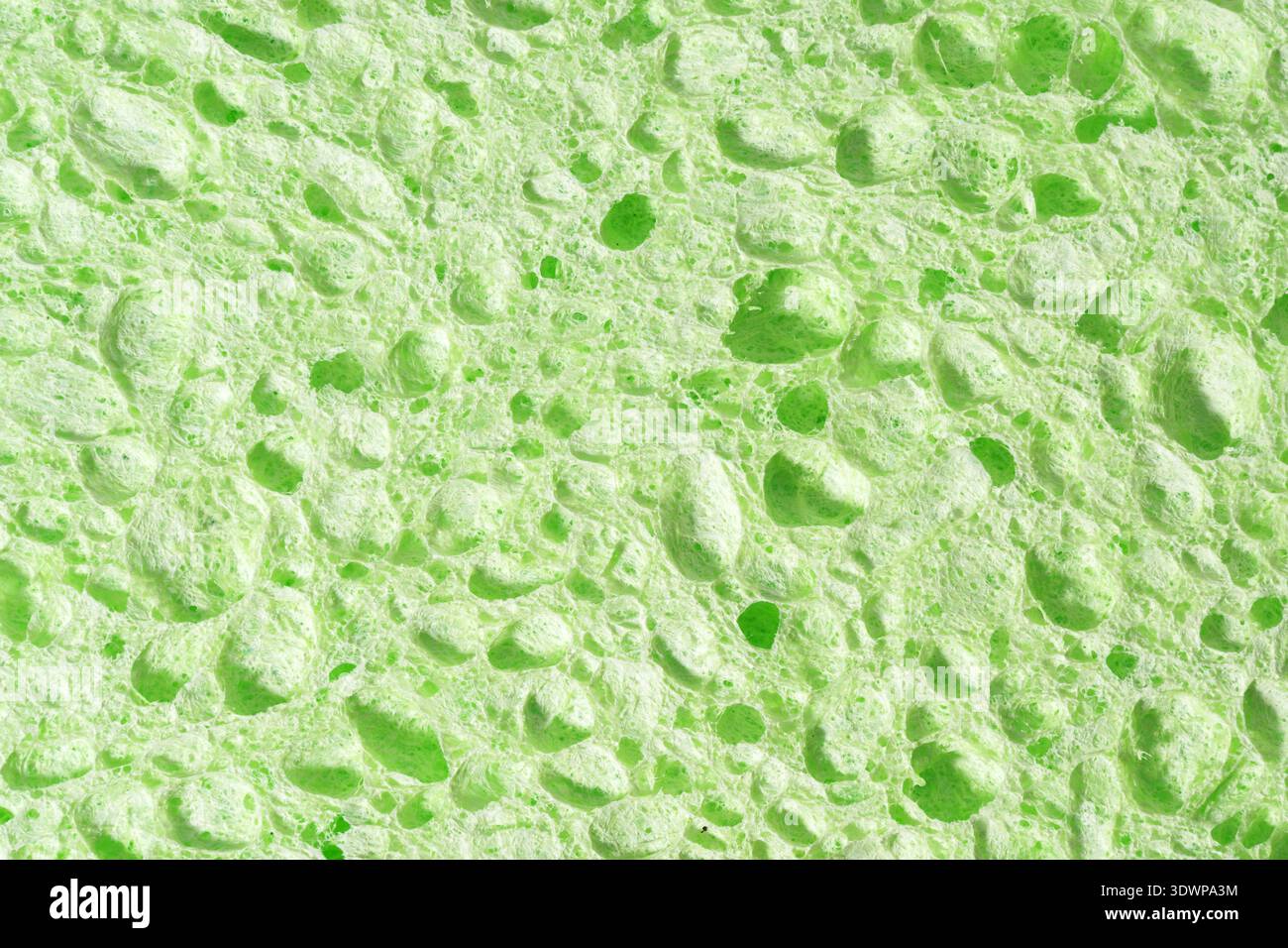 Microscopic View Of Moist Porous Ecofriendly Cleaning Sponge Surface Stock Photo