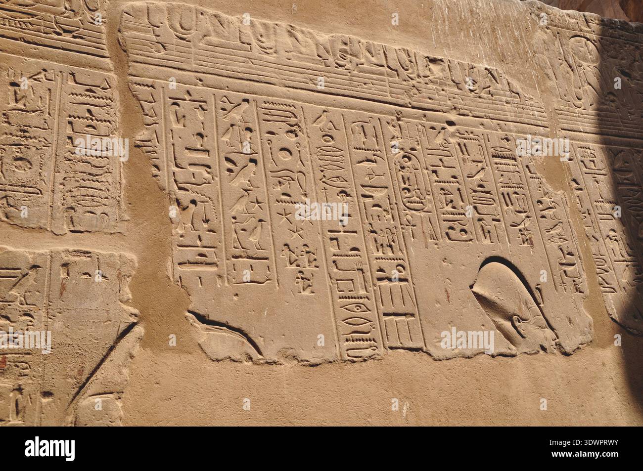 Detailed view of ancient Egyptian hieroglyphic relief carvings on a ...