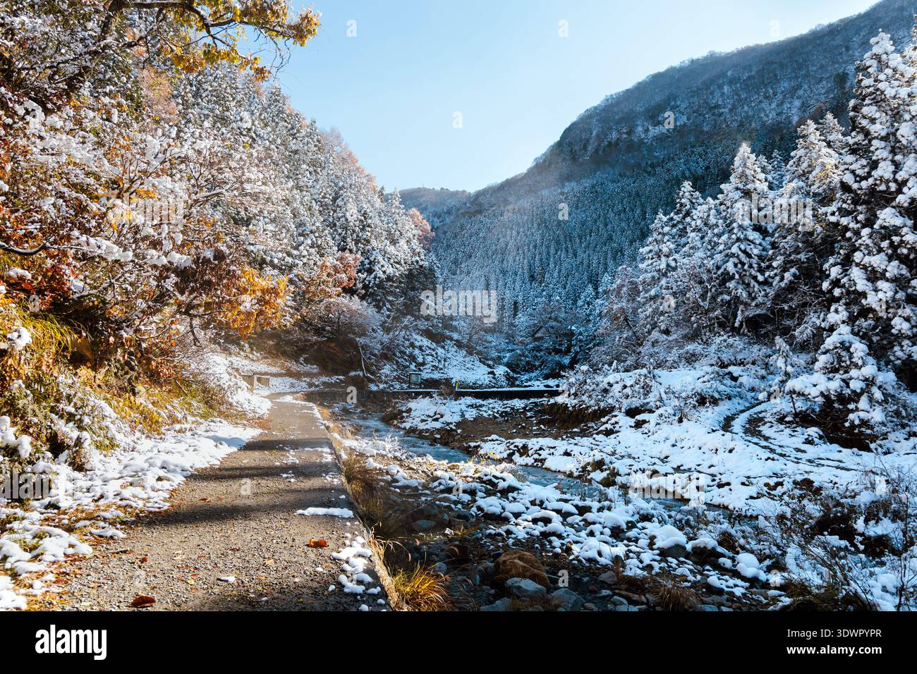 Jigokudani yaen koen hi-res stock photography and images - Alamy