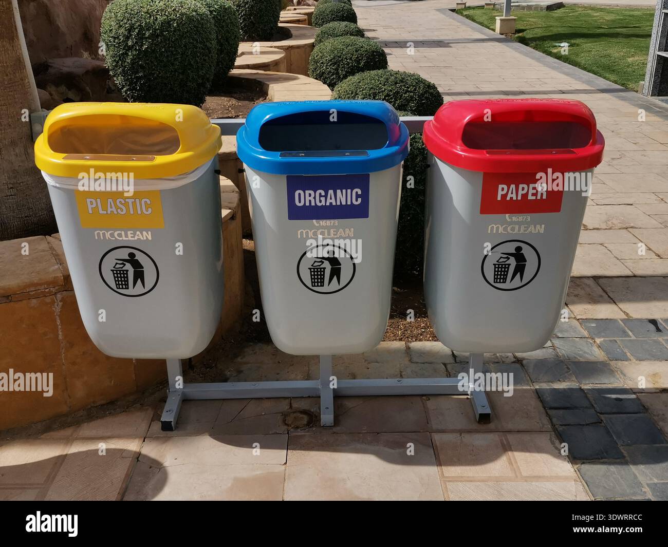 Three colored recycling bins for plastic organic and paper waste ...