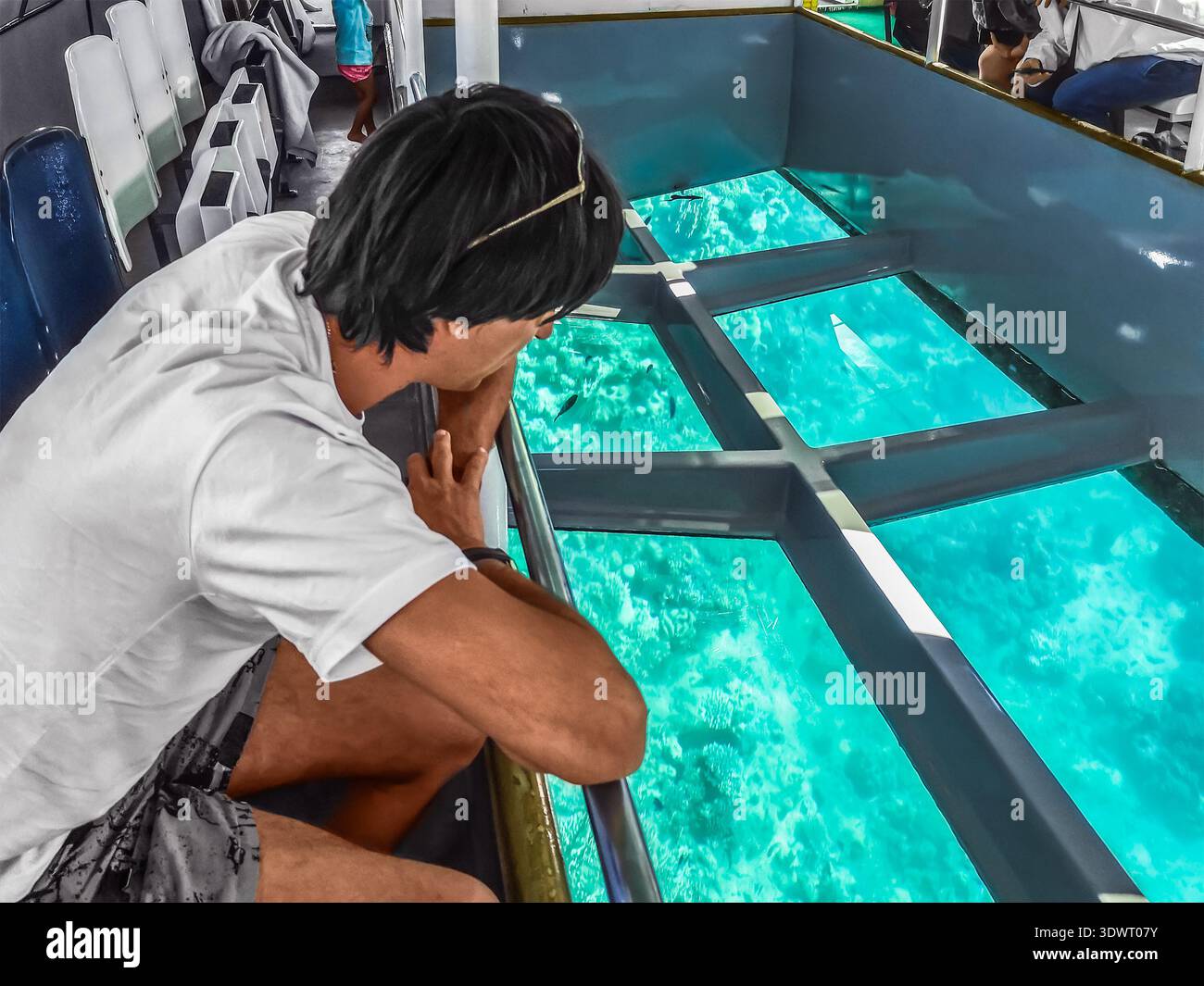 Male tourist looks at coral reefs through the transparent bottom of a ship in Sharm El Sheikh, Egypt. Tourist service - Smartphone Captured Stock Image