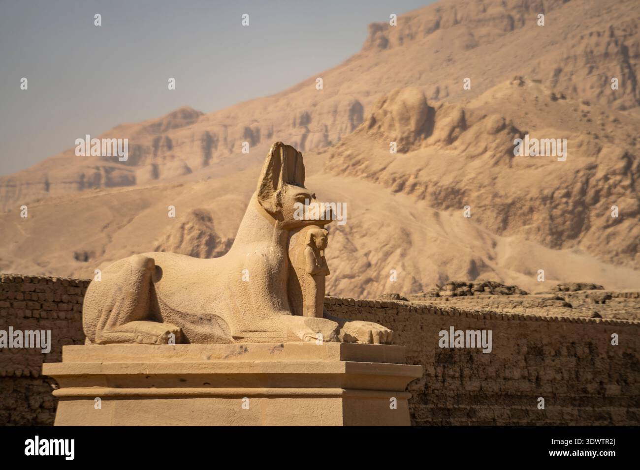 The God Ramsas Statue des Gottes Anubis am Tempel Ramesseum von Ramses II. in Theben ...