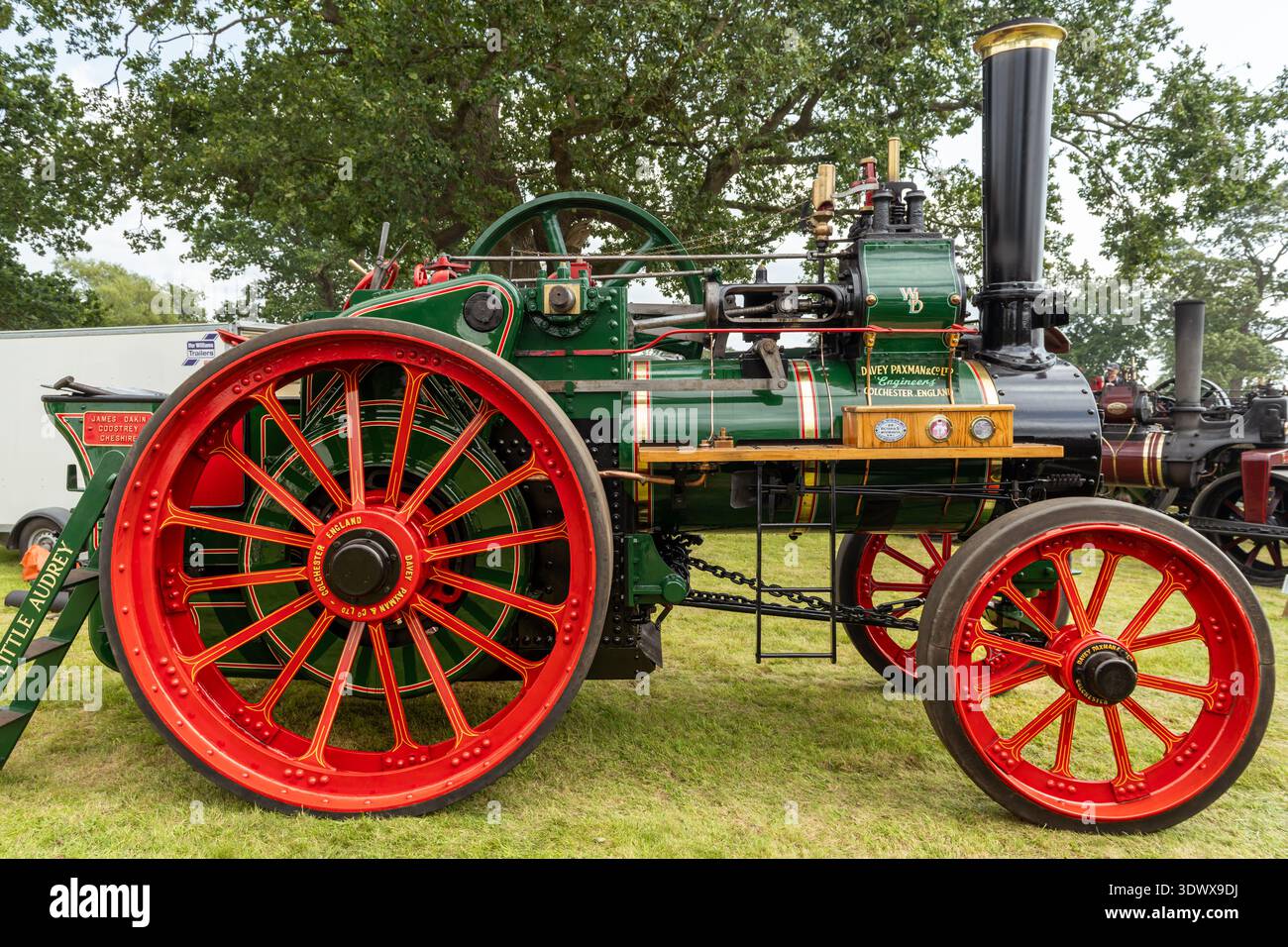Davey Paxman traction engine 'Little Audrey' (1911, No.16849) AF 3373 ...