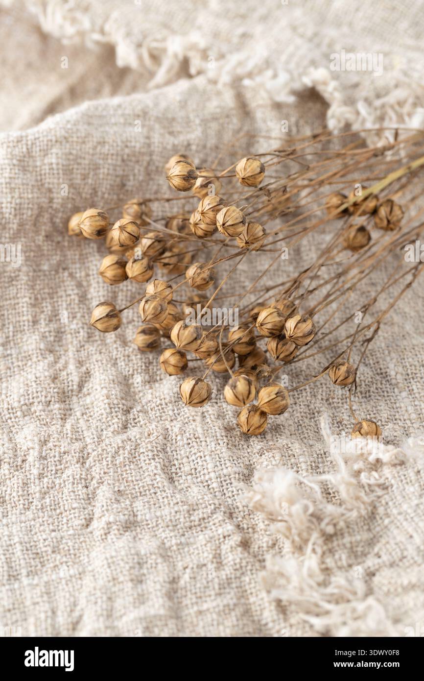Dried flax plant bunch on pure linen fabric. Natural linen background with  copy space Stock Photo - Alamy