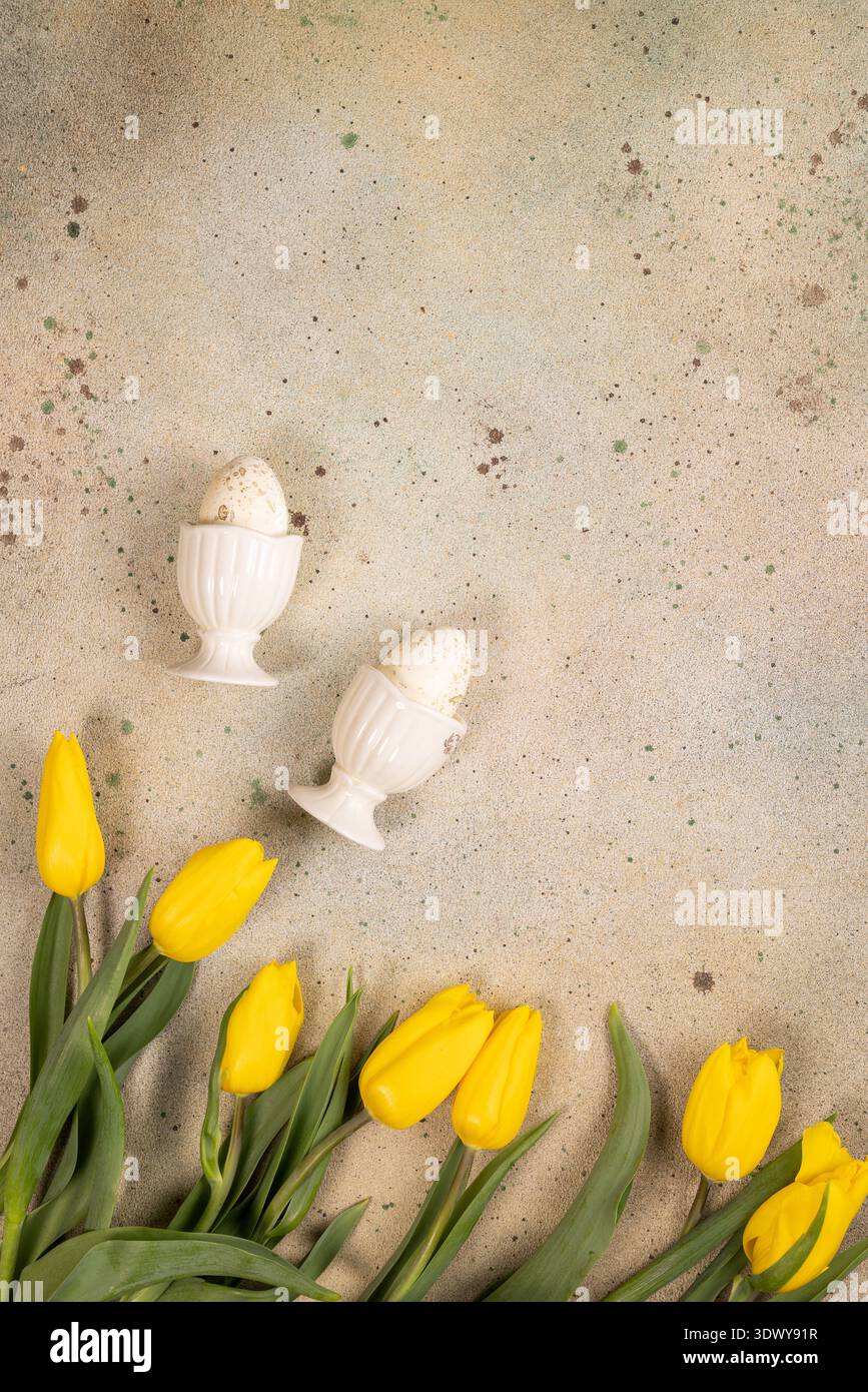 Speckled easter eggs nestled in white eggcups, surrounded by vibrant yellow tulips arranged on a rustic concrete background, creating a festive spring Stock Photo