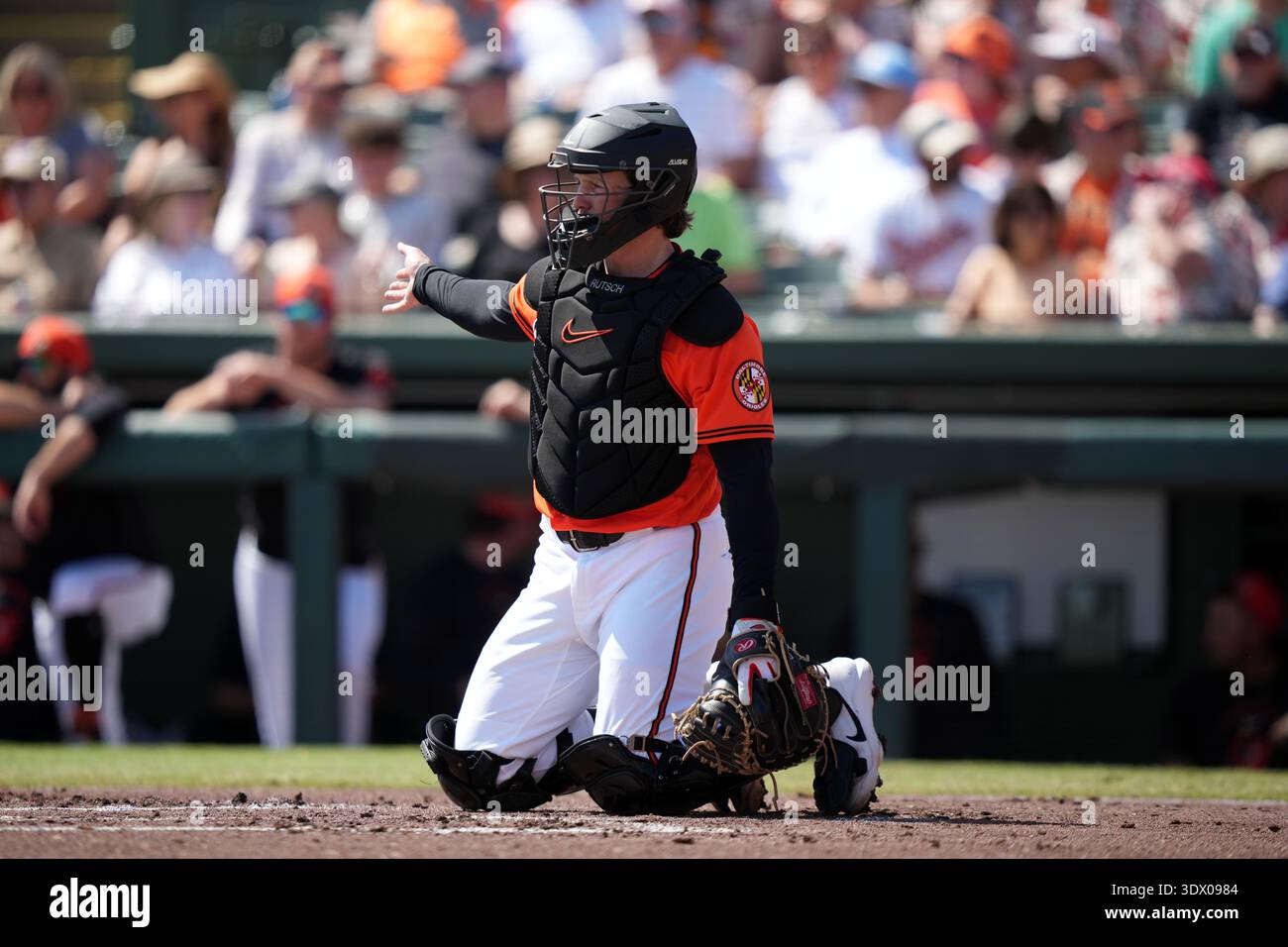 Baltimore Orioles' Adley Rutschman plays during a spring training ...