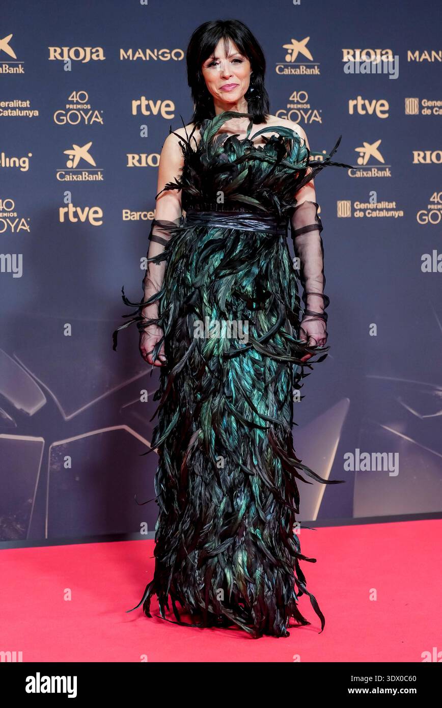 ana wants a green dress in spanish 28/02/2026-Barcelona-Spain Alvarez attends 40th Goya Awards - Red Carpet at International Barcelona Convention Center on February 28, 2026 Barcelona, Spain Stock Photo anne hathaway photoshoot
