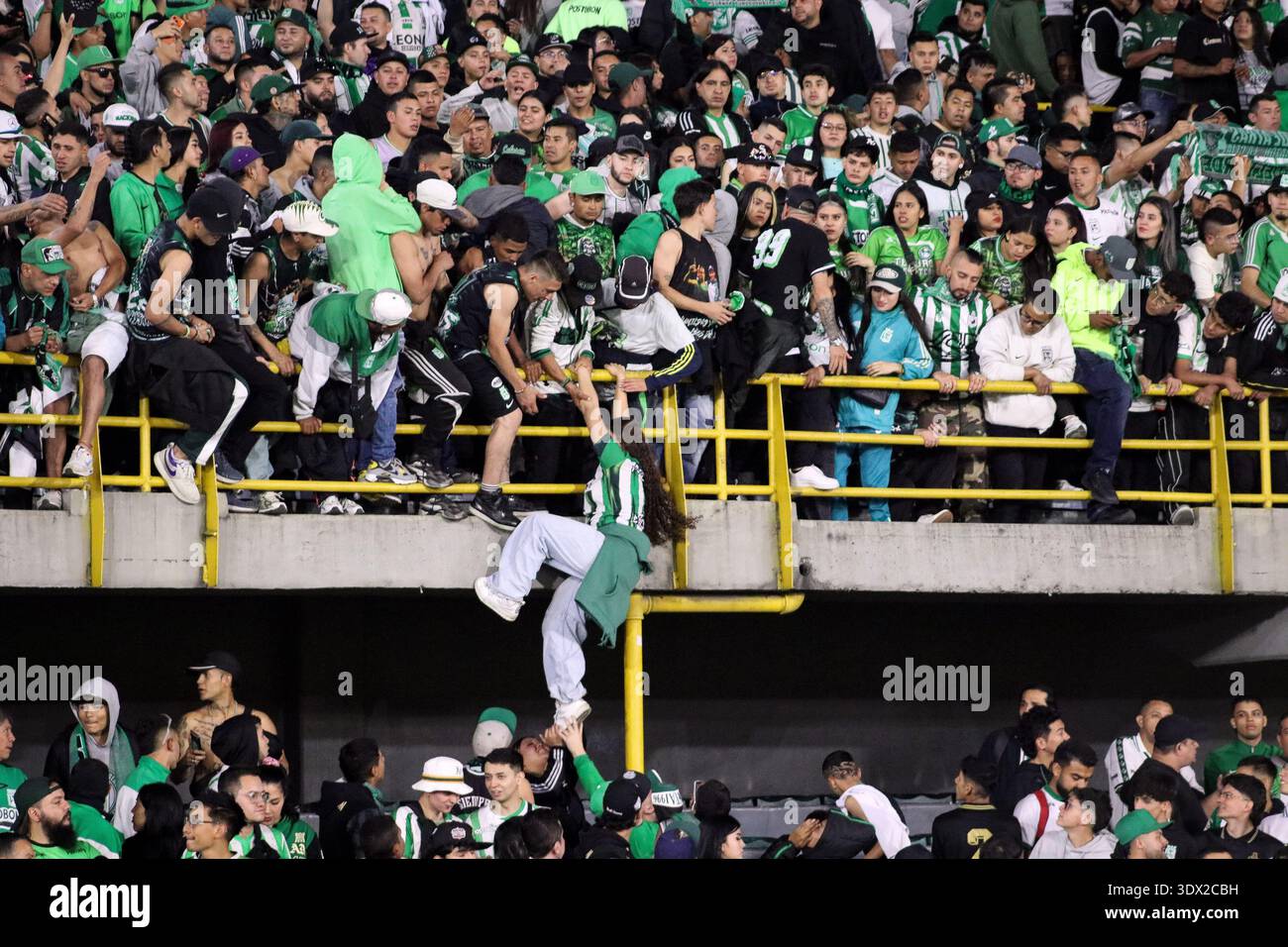 Atletico Nacional Fans During The Betplay Dimayor League Match Between atletico-nacional-fans-during-the-betplay-dimayor-league-match-between