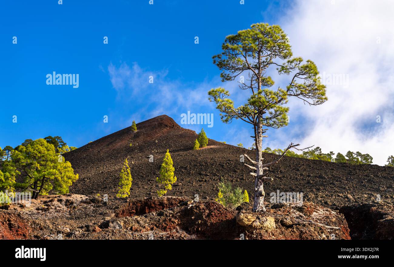 Volcanic ash soil hi-res stock photography and images - Alamy