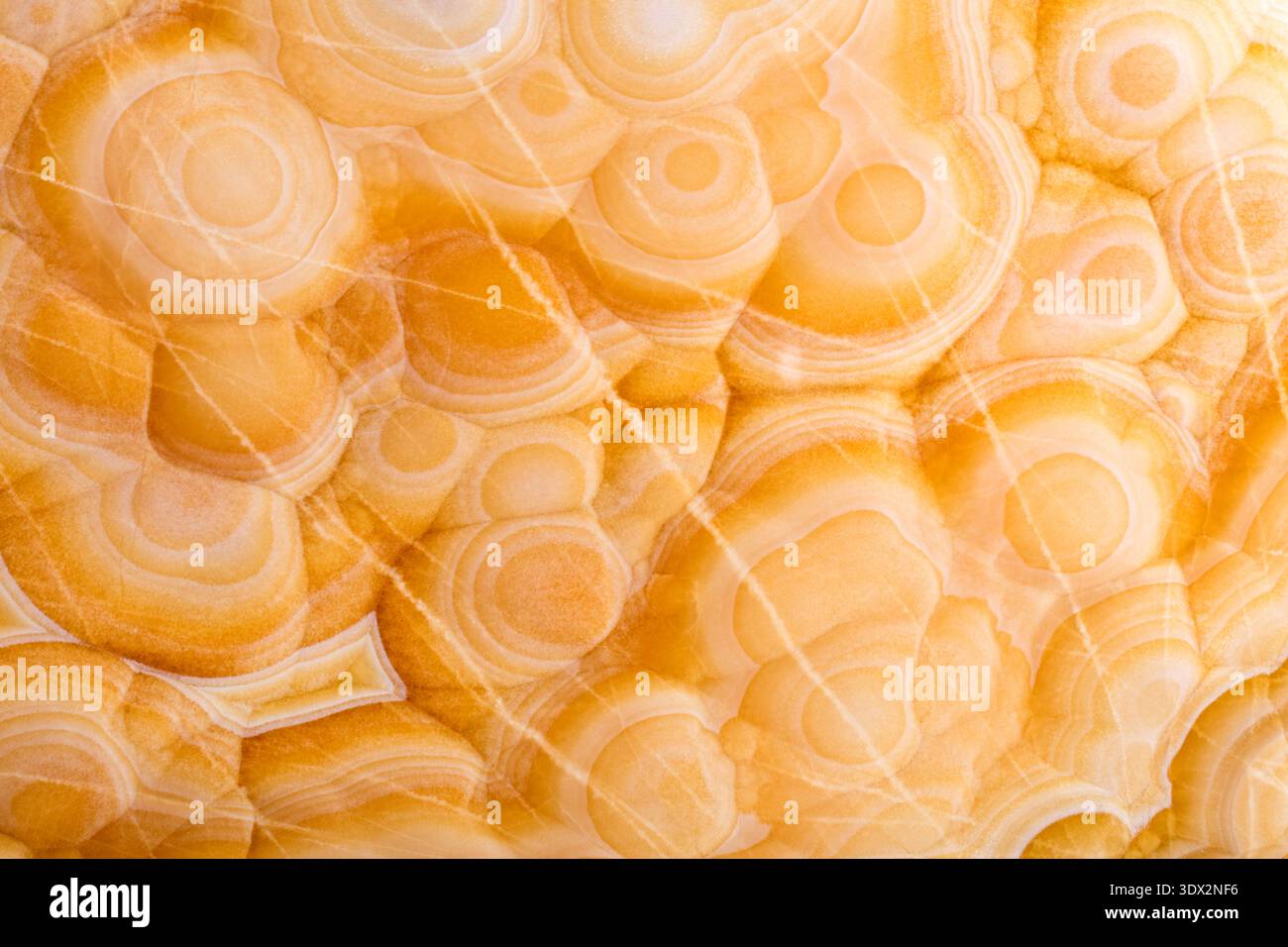 Elegant brown onice background for your awesome design view. Stock Photo