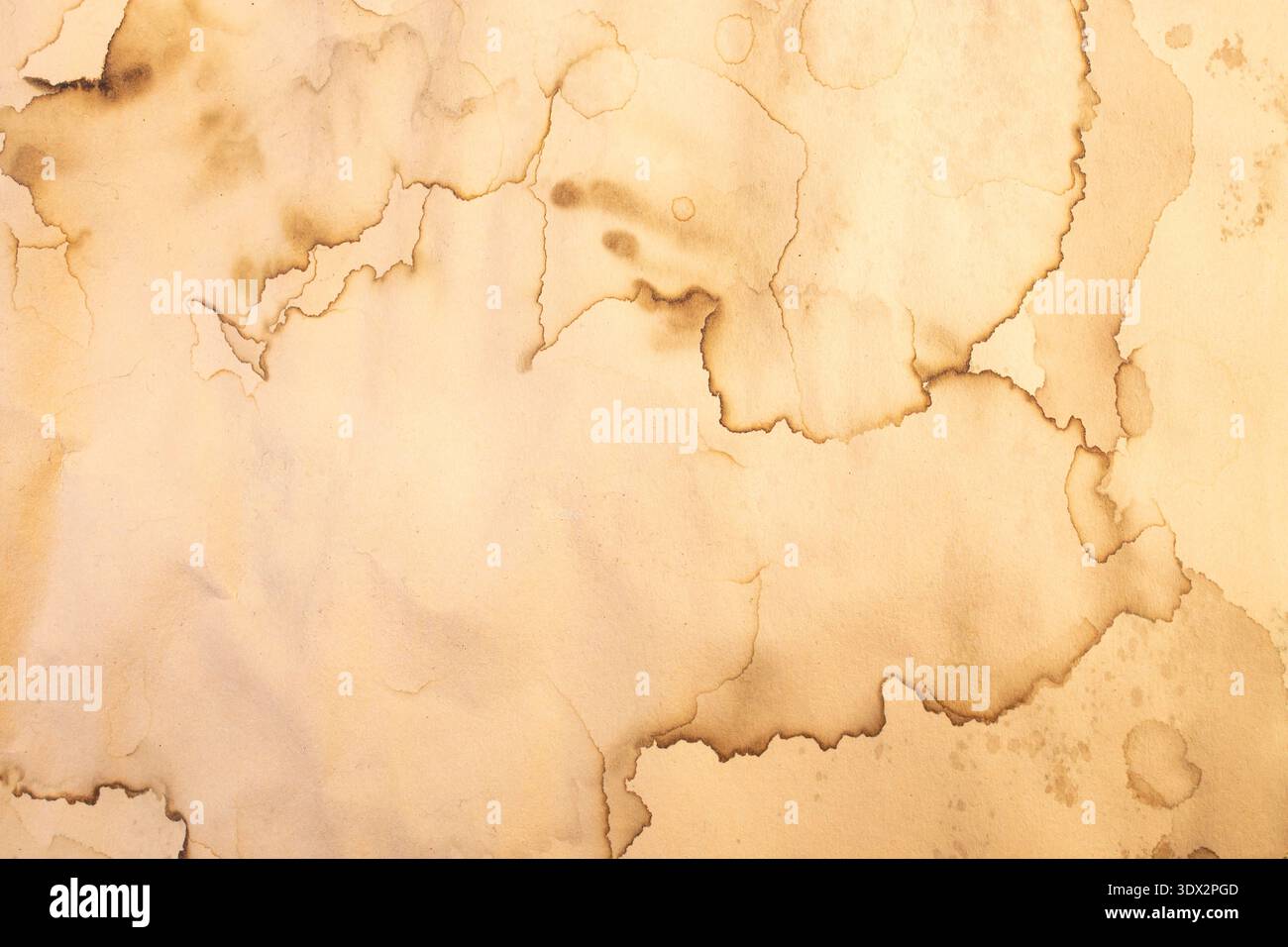 Water damaged beige paper with brown marks and stains, abstract backdrop or overlay template Stock Photo