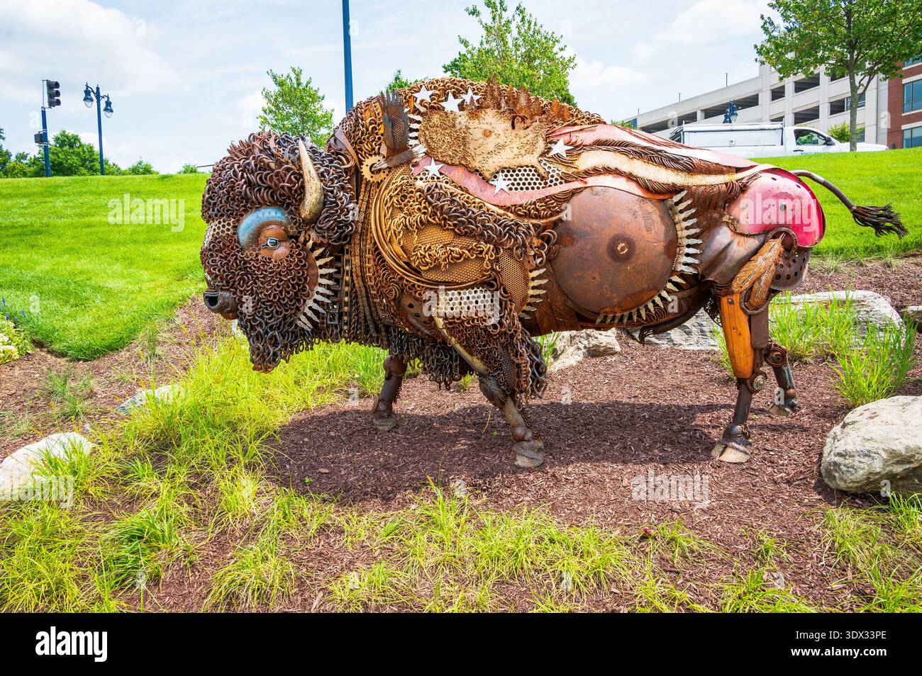 Large bison stands in hi-res stock photography and images - Alamy