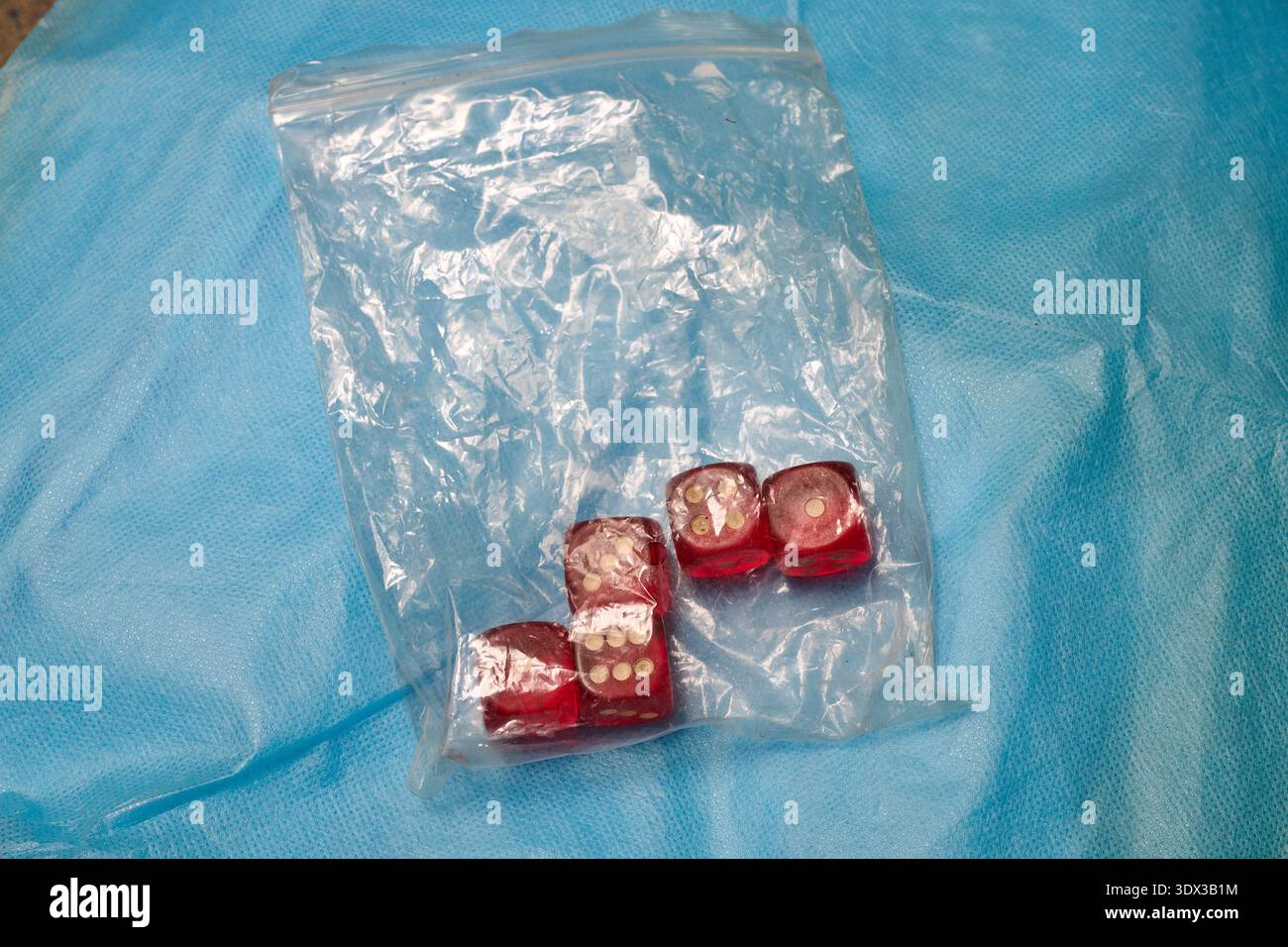 Five red dice in a clear plastic bag on blue background Stock Photo