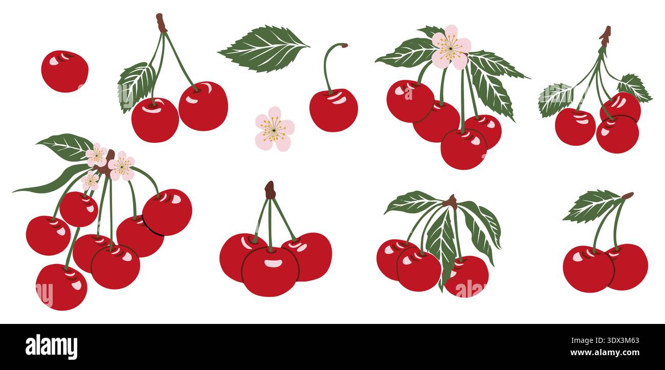 Stylized flat vector illustration set of cherries Stock Vector