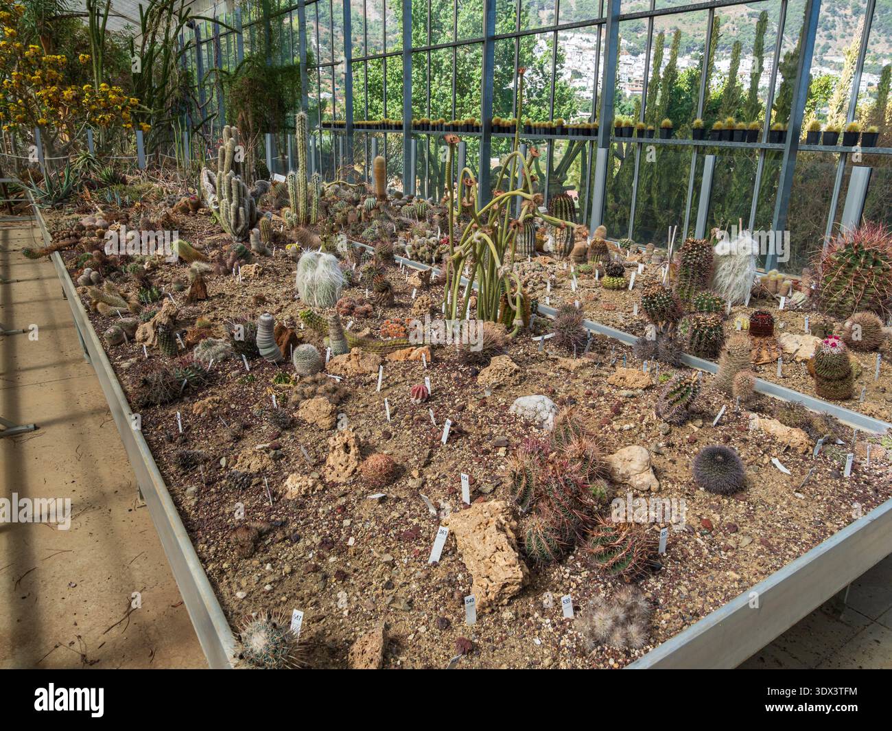 Bravard hi-res stock photography and images - Alamy