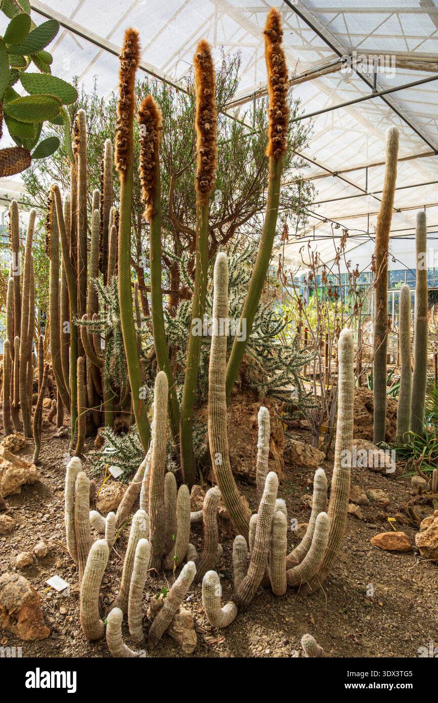 Bravard hi-res stock photography and images - Alamy