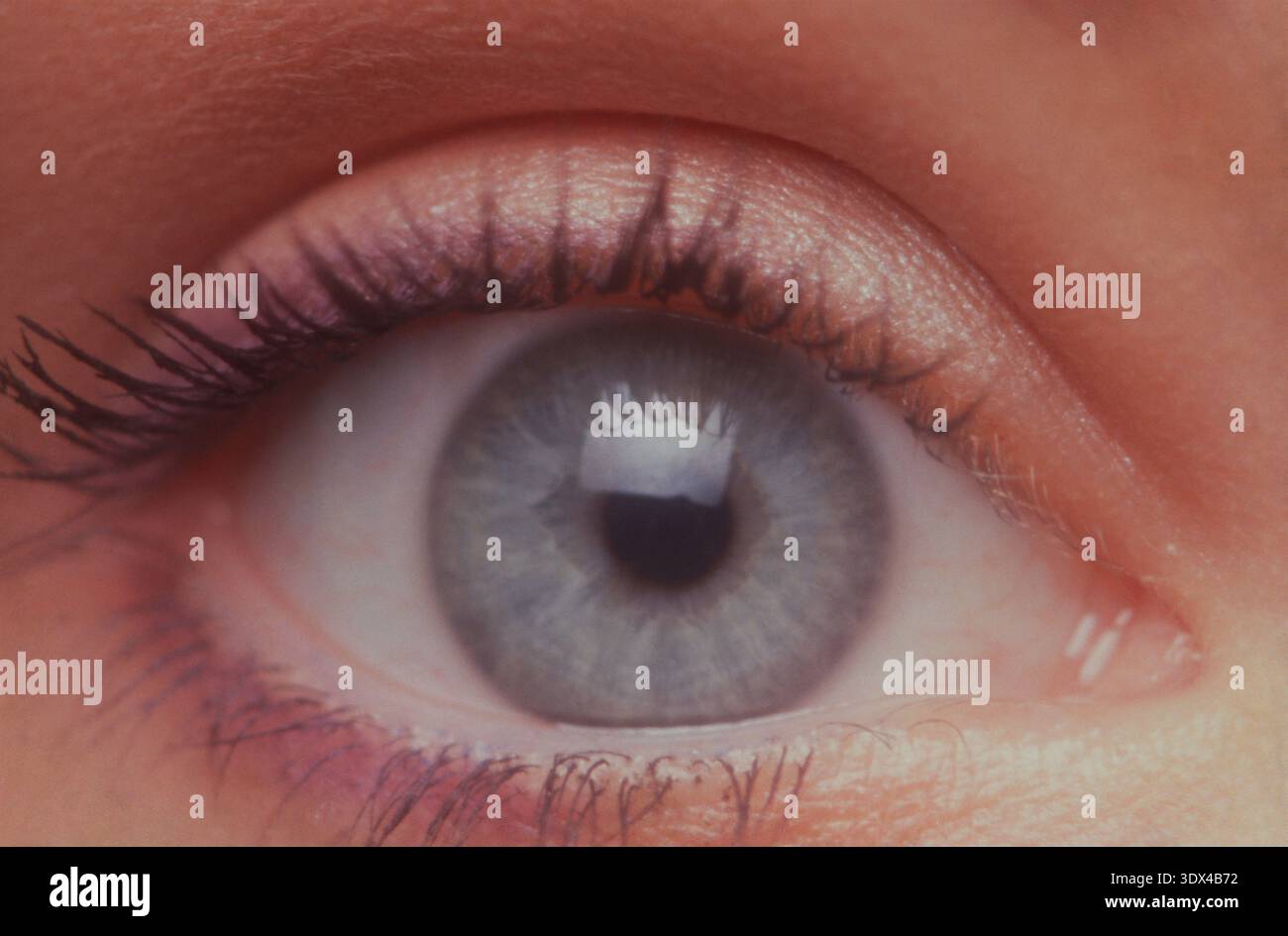 Young woman's eye close-up. Stock Photo