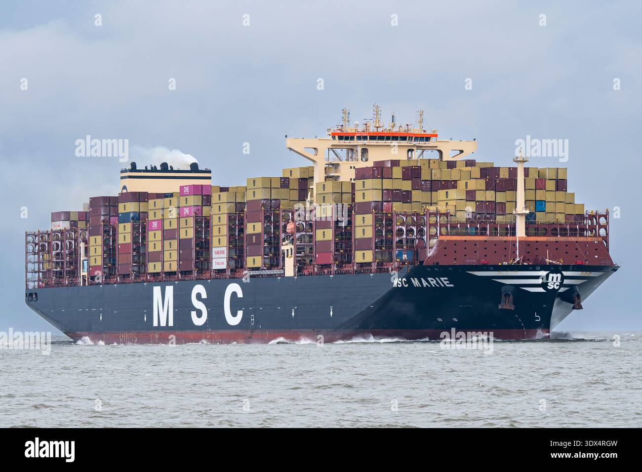 container ship MSC Marie on the river Elbe Stock Photo