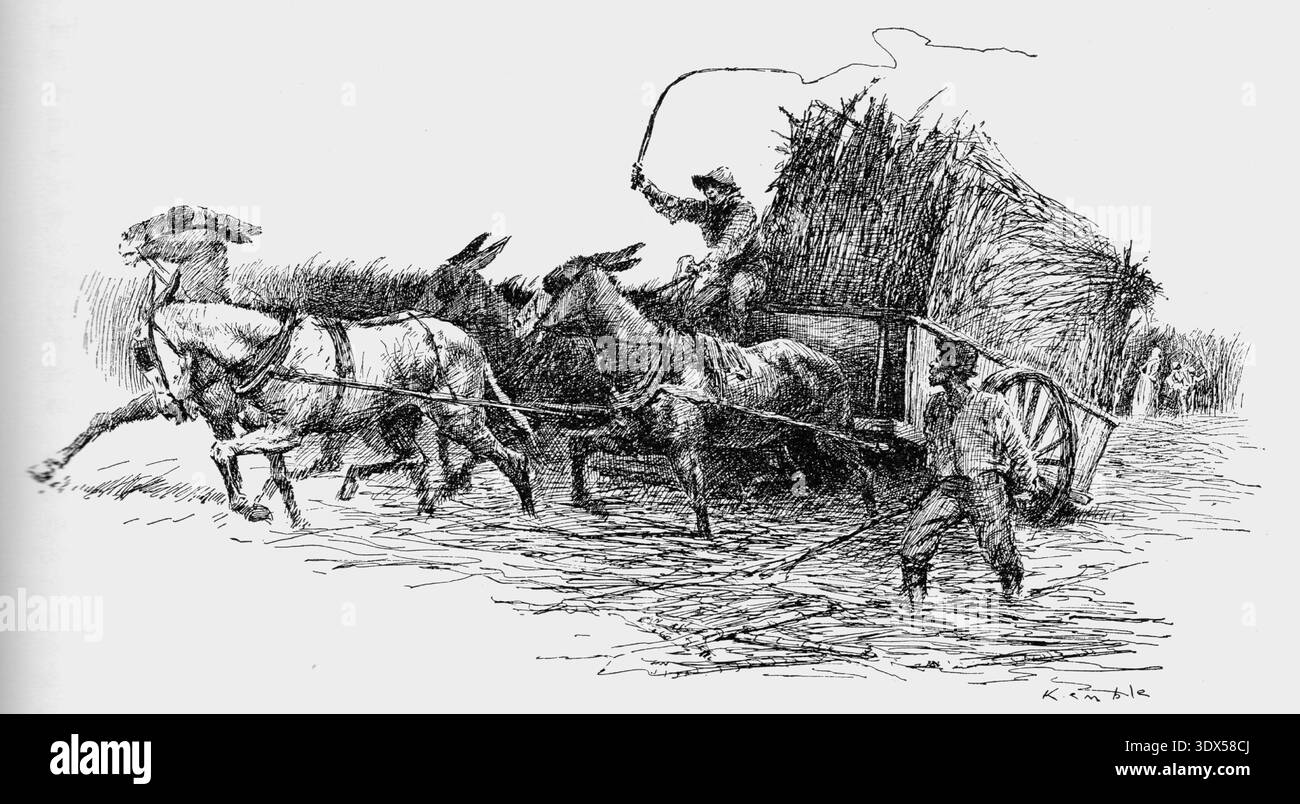 Enslaved labourer driving a cart loaded with harvested sugar cane on a ...
