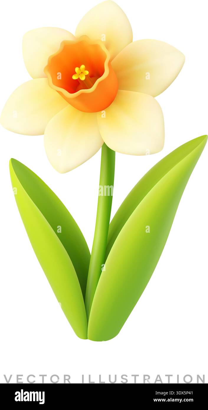 Yellow daffodil flower 3D realistic icon. Spring Easter botanical ...