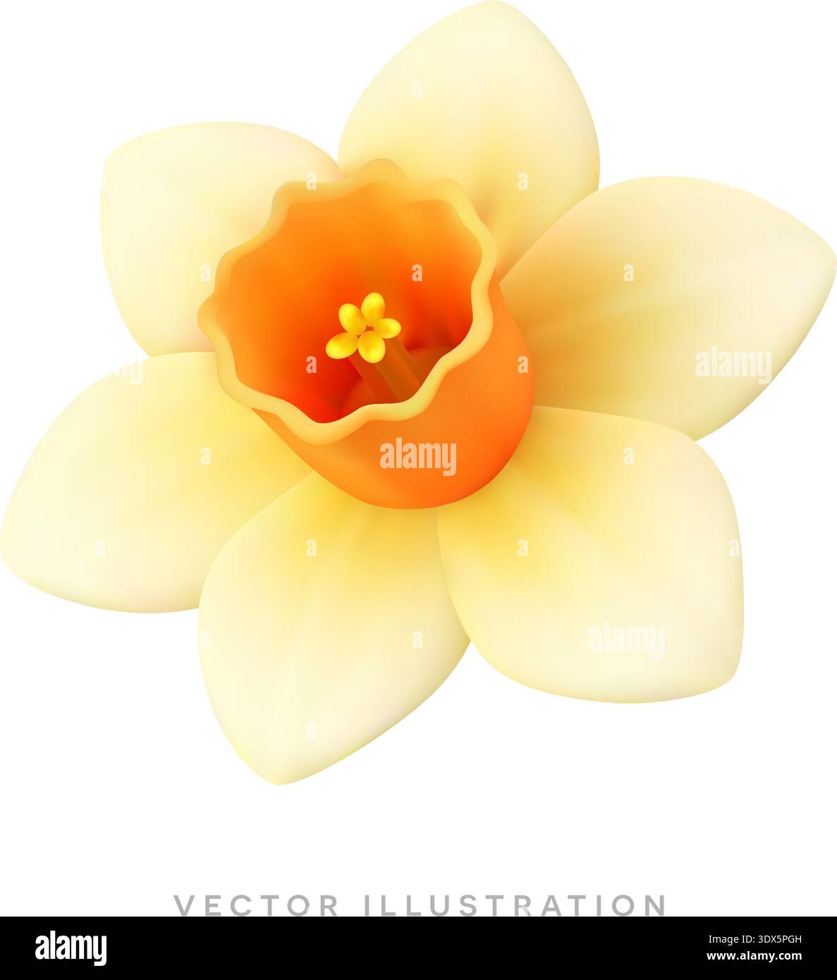 Yellow daffodil flower 3D realistic icon. Spring Easter vector illustration Stock Vector