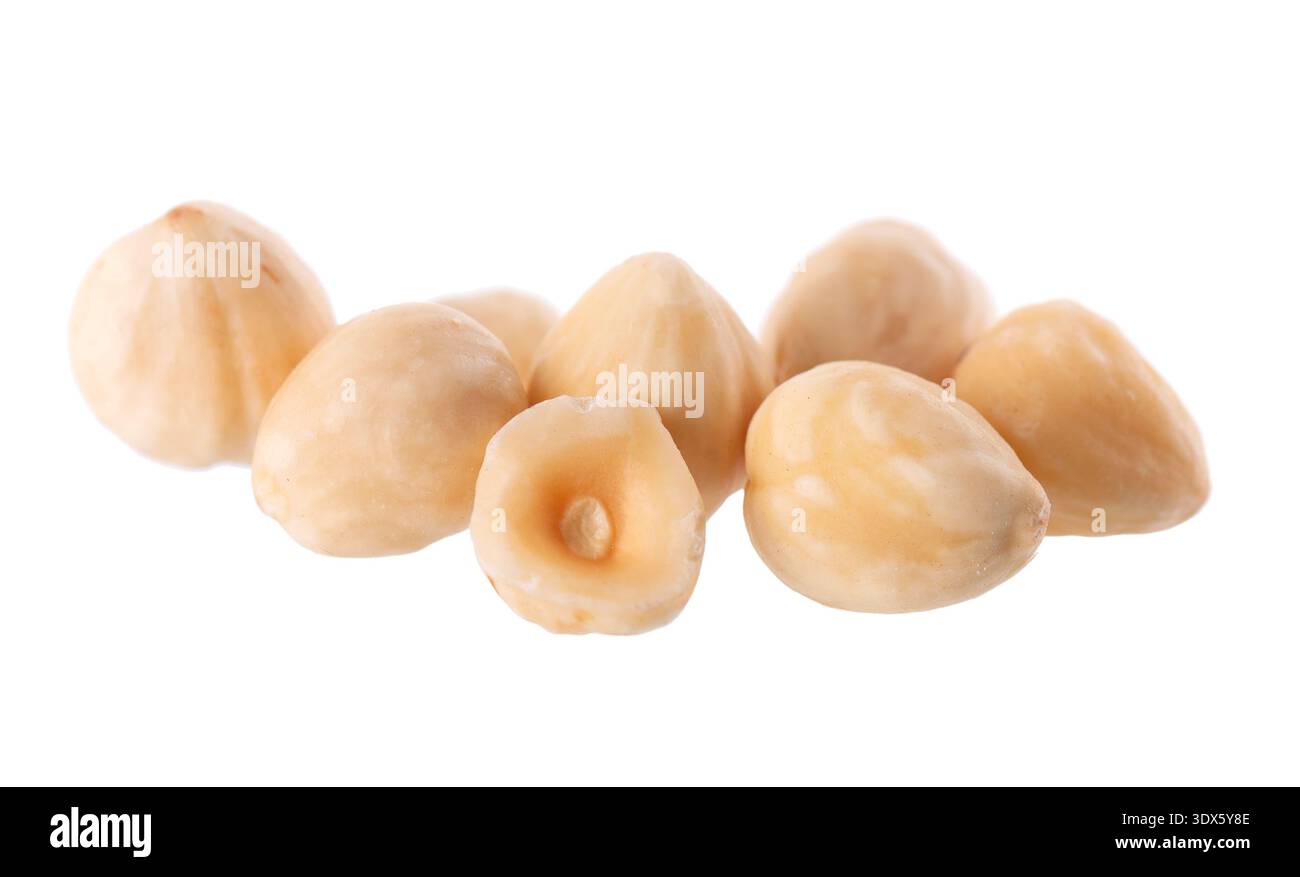 Hazelnut isolated on white background. Peeled hazelnuts. Clipping path. Stock Photo