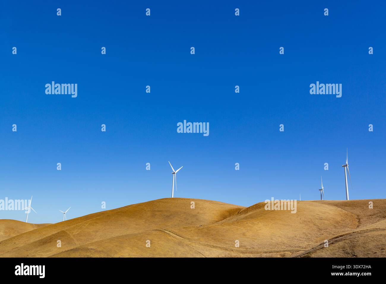 Wind turbines stand atop rolling, golden hills under a clear blue sky ...