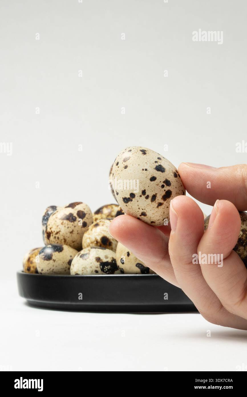 A person holds a single quail egg while several eggs rest on a black plate in the background. Stock Photo