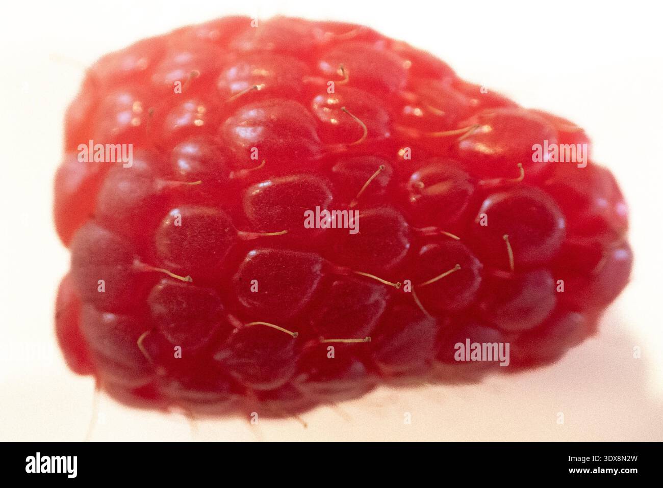 Single fresh red raspberry on white background Stock Photo