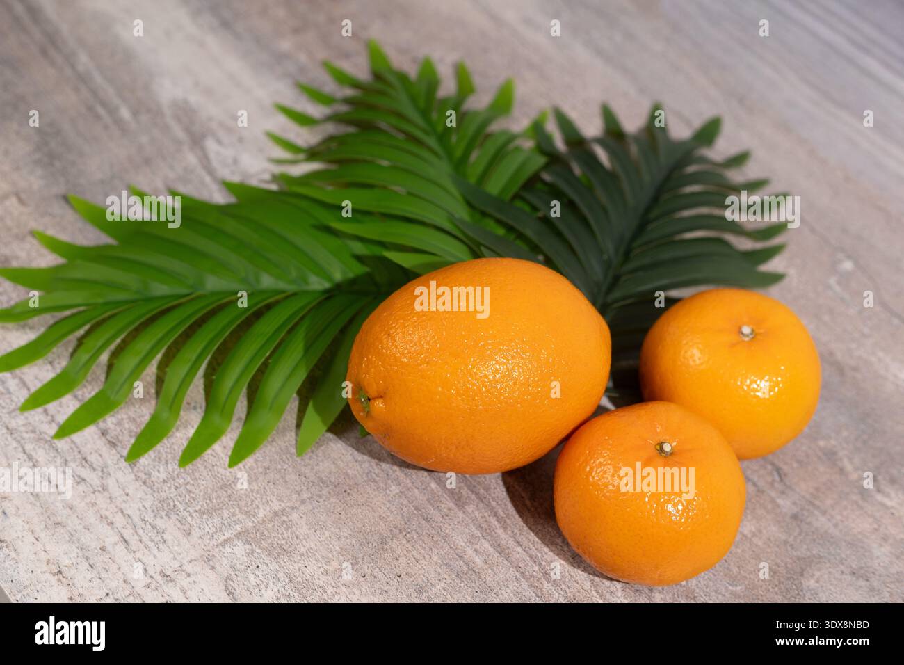 Oranges and palm leaves on grey wooden background Stock Photo