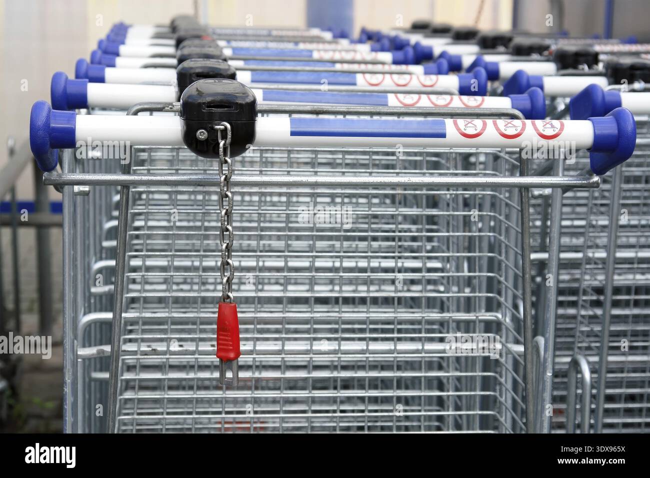 Rows of empty shopping carts Stock Photo