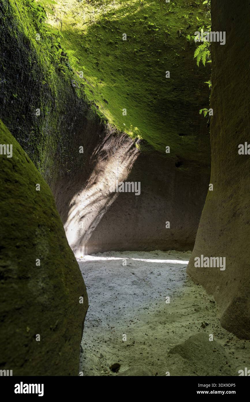 Sunbeams in Tutulari Avatar Gorge, Sandstone Gorge, Inararo, Porac ...
