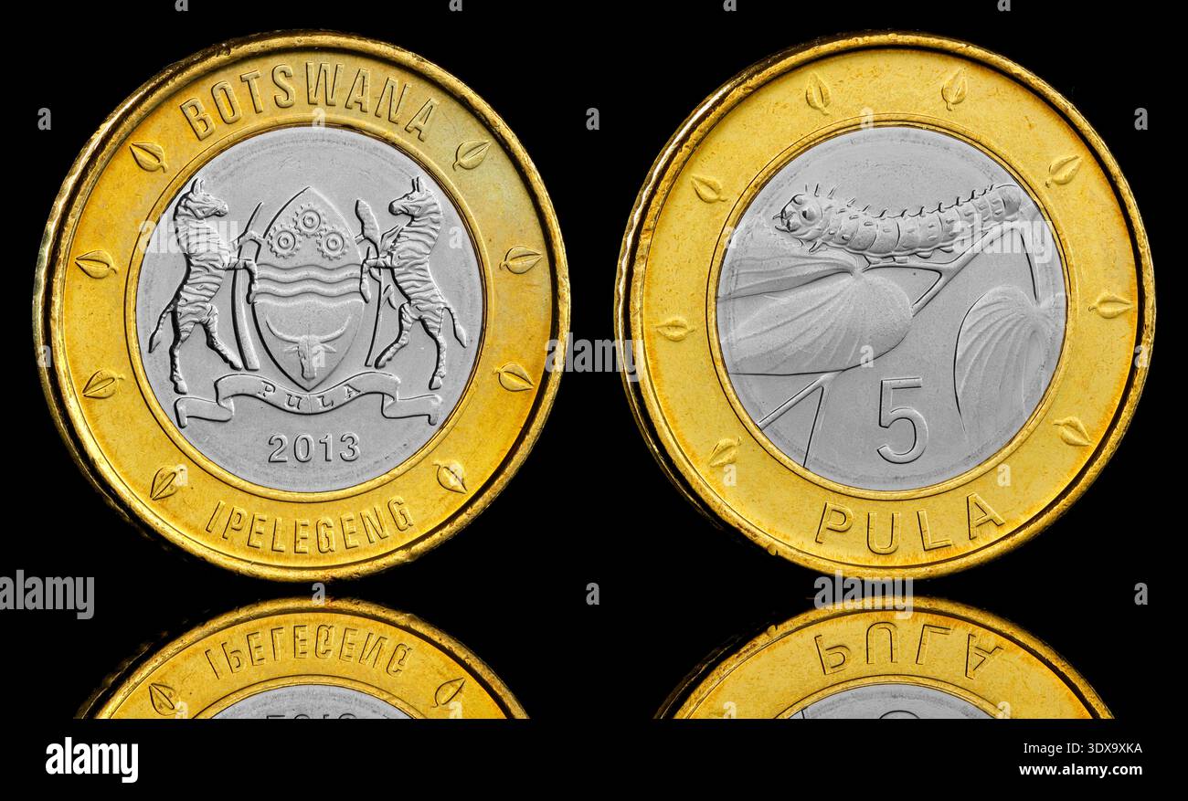 2013 Botswana 5 Pula coin featuring the Botswana Coat Of Arms on the obverse and a Mopane Worm on the reverse Stock Photo