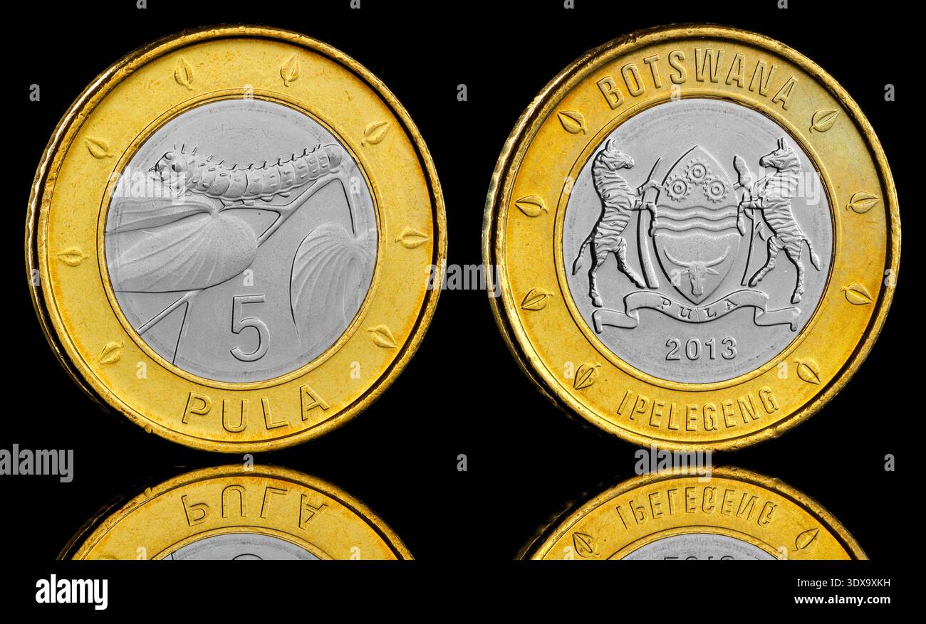 2013 Botswana 5 Pula coin featuring the Botswana Coat Of Arms on the obverse and a Mopane Worm on the reverse Stock Photo
