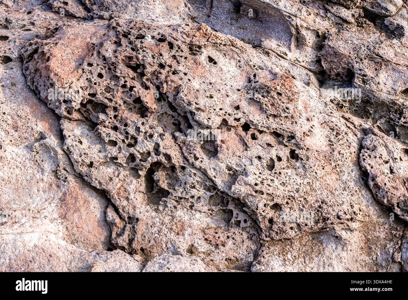 closeup of coast rock texture. rough stone background from the black sea in summer. detail of bulgaria rugged shore. backdrop for material design Stock Photo