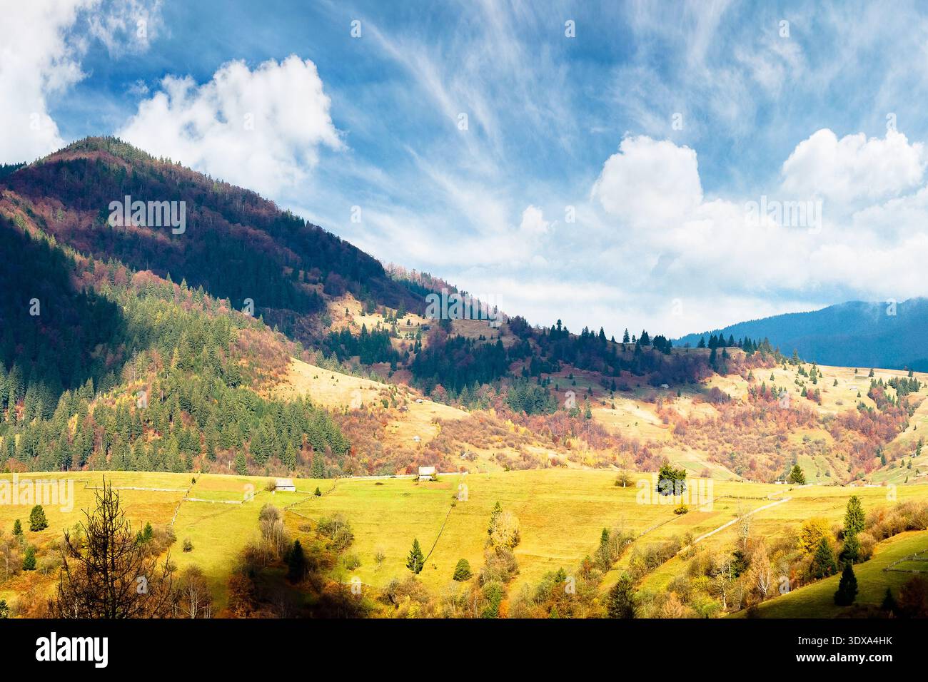autumn landscape of rural region in carpathian mountains. rolling hills with green alps in dappled light. serene countryside on a sunny morning and cl Stock Photo