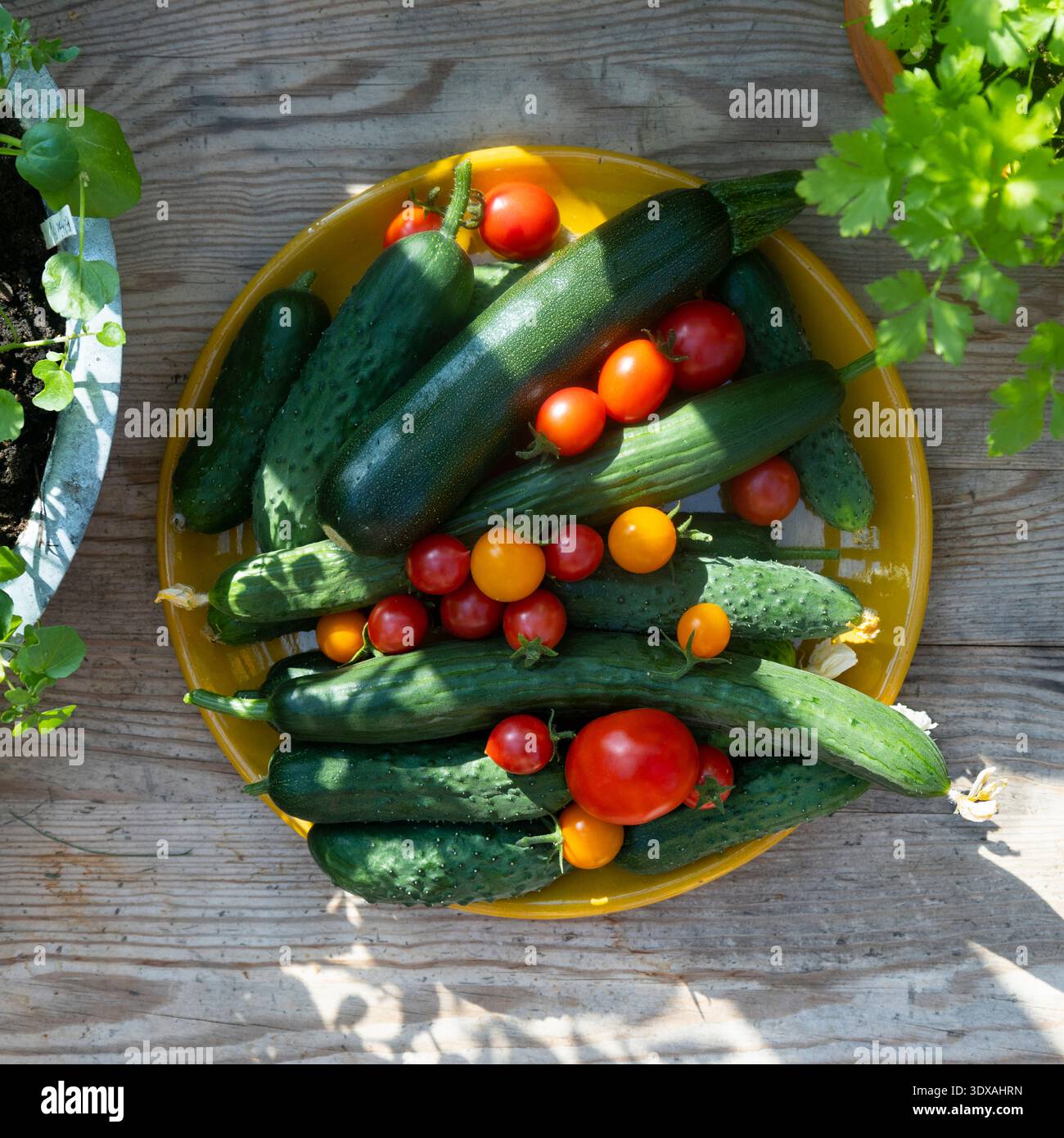 Directly above shot of fresh vegetables in plate on table Stock Photo