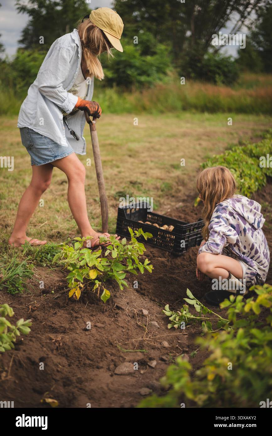 Girl crouching near mother digging dirt with shovel for picking potato ...