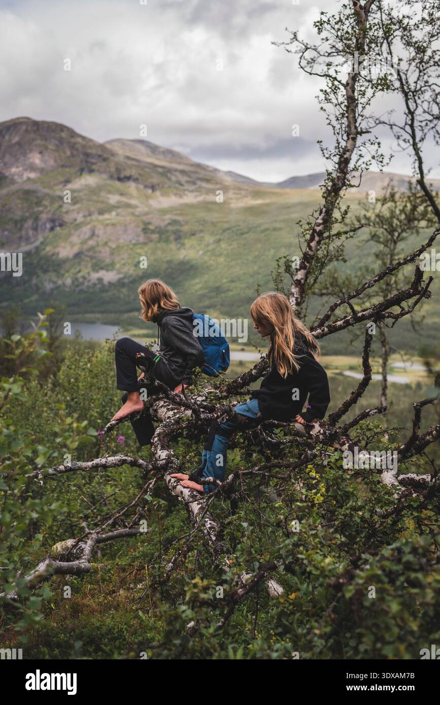 Siblings sitting on fallen tree branch while hiking in forest Stock Photo