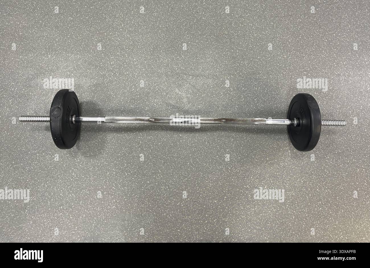 barbell isolated on gray background Stock Photo