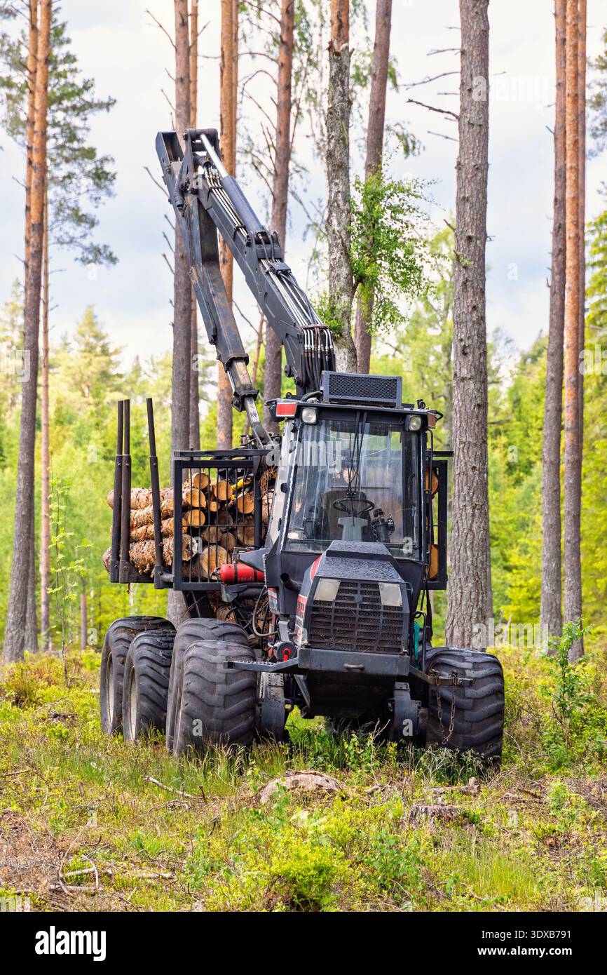Forwarder a forestry vehicle in a forest Stock Photo